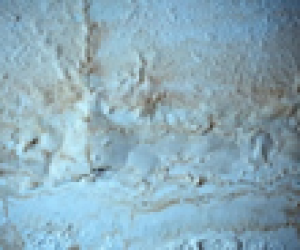Rising Damp Products